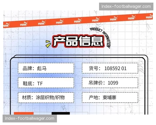 彪马发布2025年财报,足球产品线销售额增长18%领跑 彪马发布2025年财报,足球产品线销售额增长18%领跑